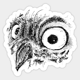 Sketchy Owl Sticker